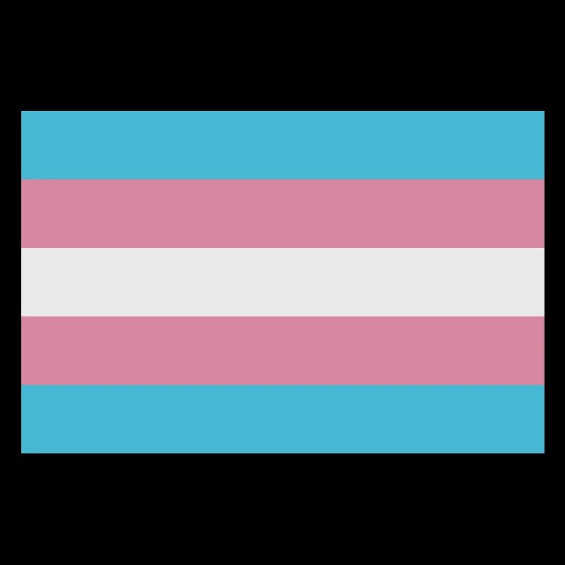Drapeau trans