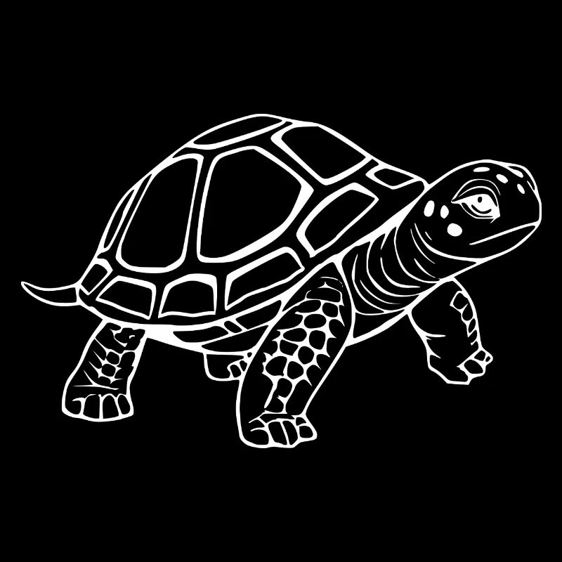 Turtle Turtles