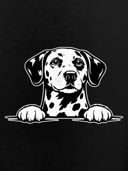 Dalmatian with paws