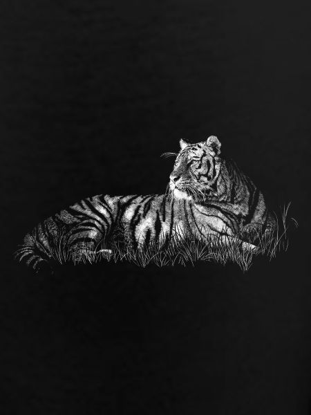 Tigre