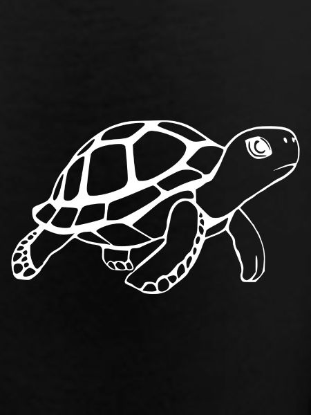 Turtle Turtles
