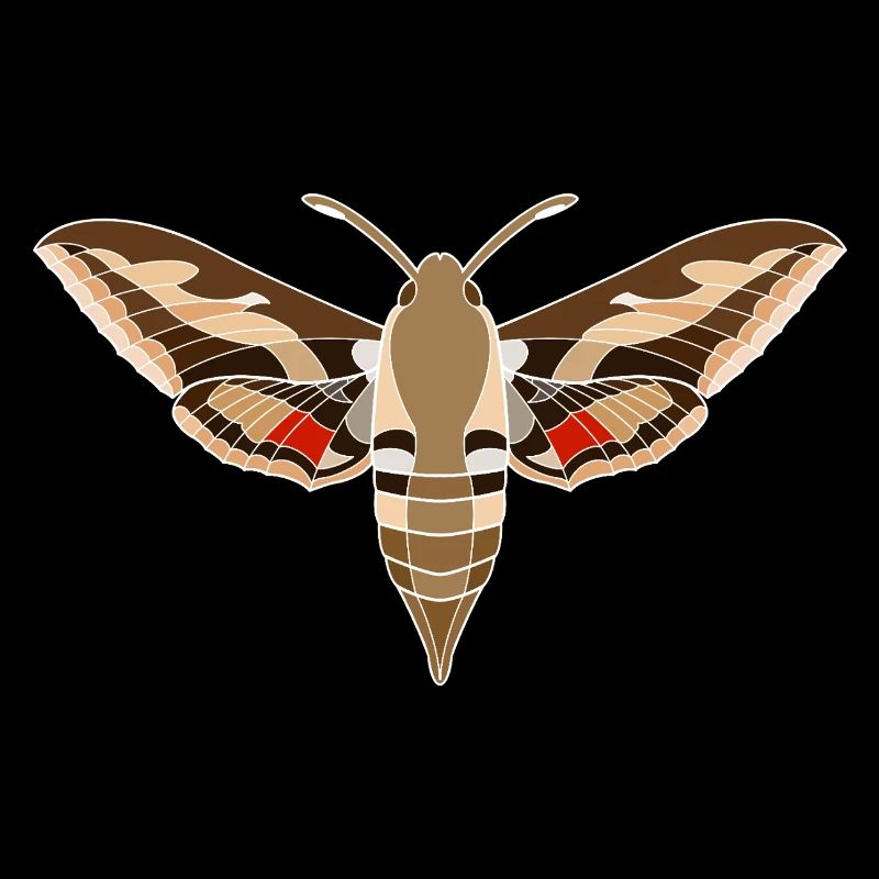 Bedstraw hawkmoth