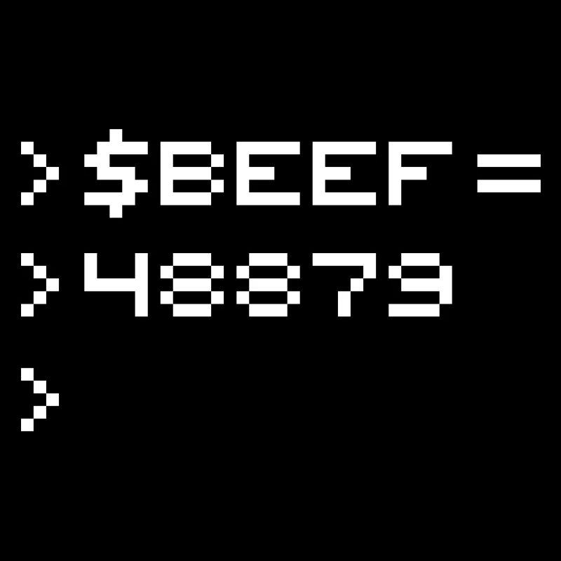 BEEF 8-bit Code Nerd Pixel Terminal Rétro