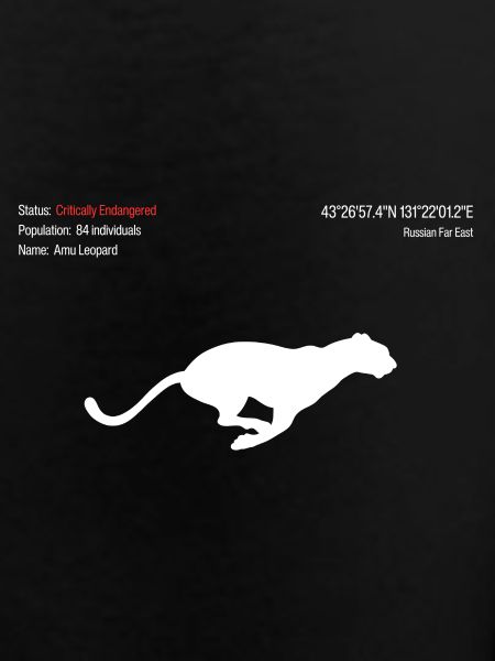 Amu Leopard