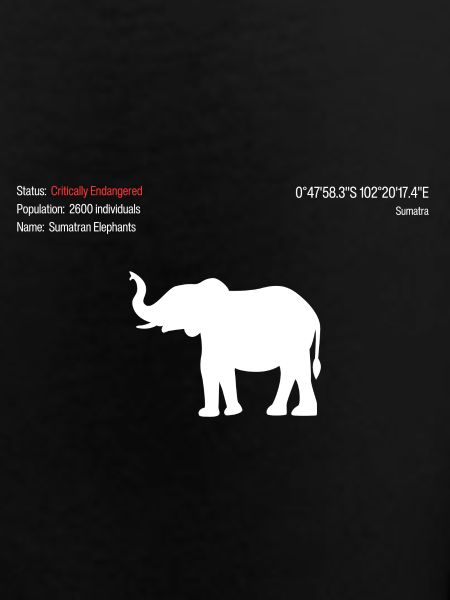 Éléphant