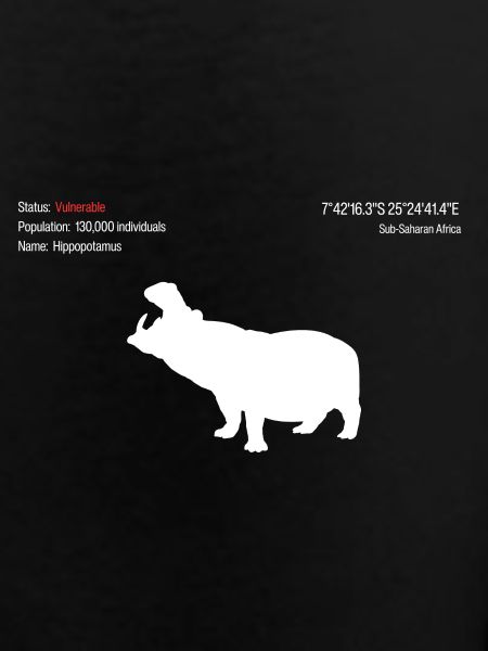 Hippopotamus