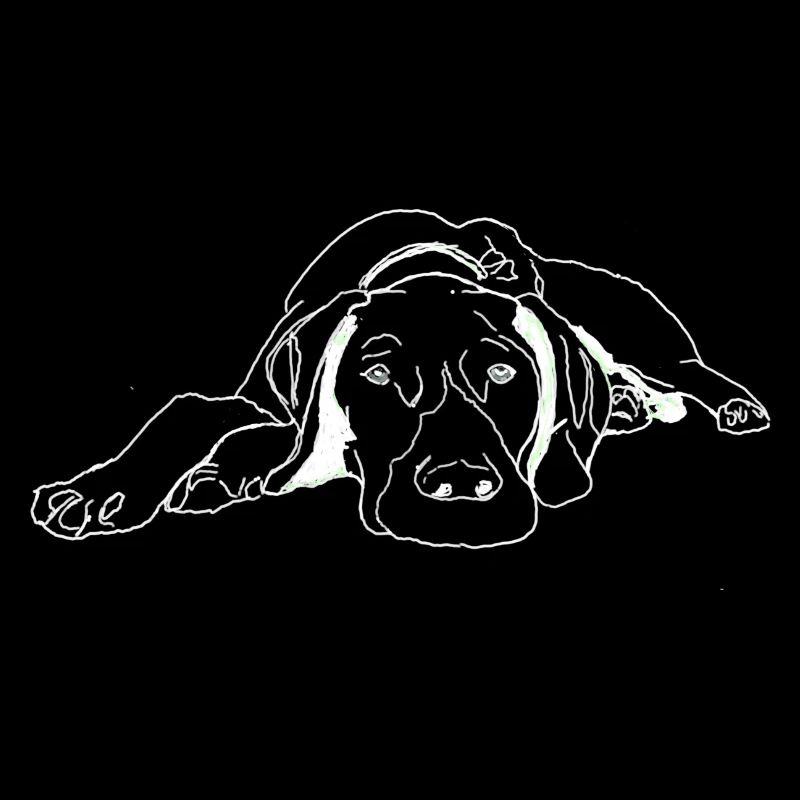 Pointer Deutsch Kurzhaar