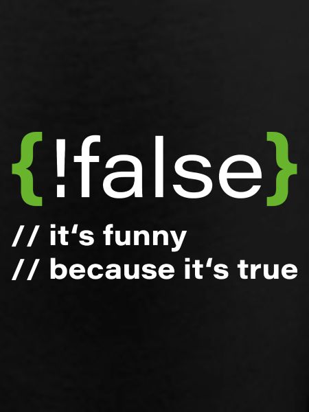 false – Funny programmer saying