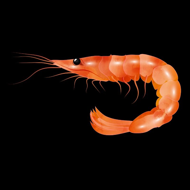 rosarote Garnele oder Shrimp von Hand gezeichnet