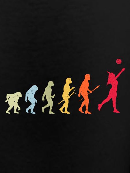 Volleyball Evolution