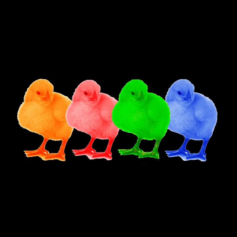 Colorful chicks