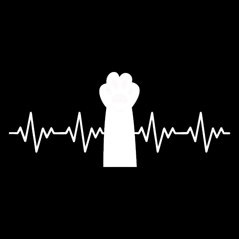 rythme cardiaque ECG de la patte de chat