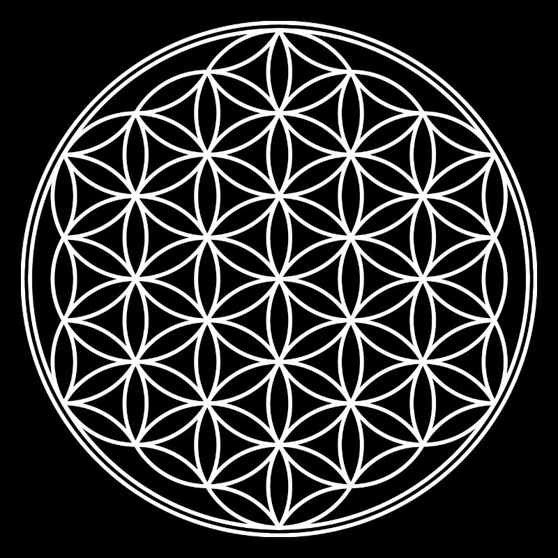 Flower of Life - Solo 2