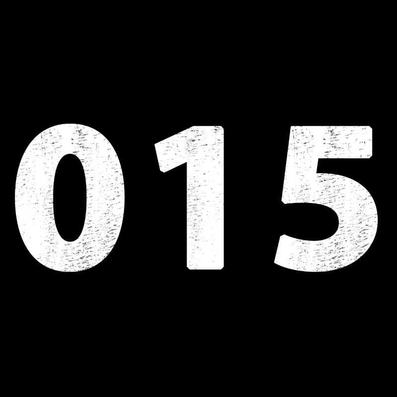 015 Delft Nootdorp Pijnacker Delfgauw Schipluiden