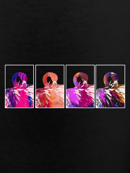 Flamingos