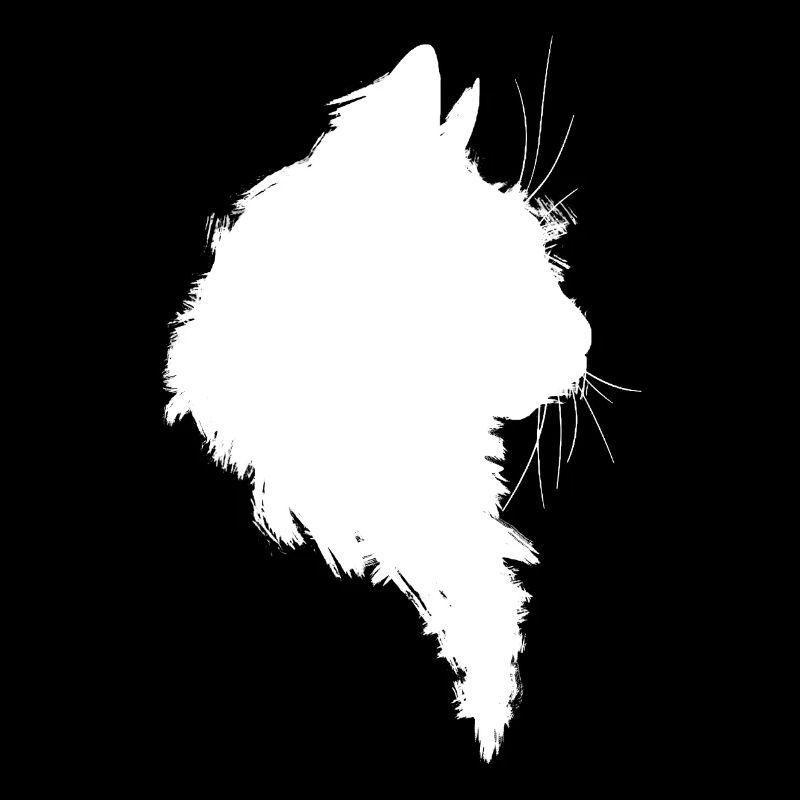 Schatten Silhouette Katze weiße Farbe