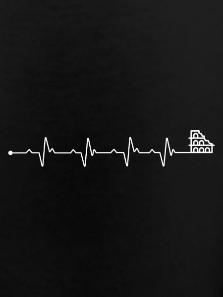 Heartbeat Train Skyline