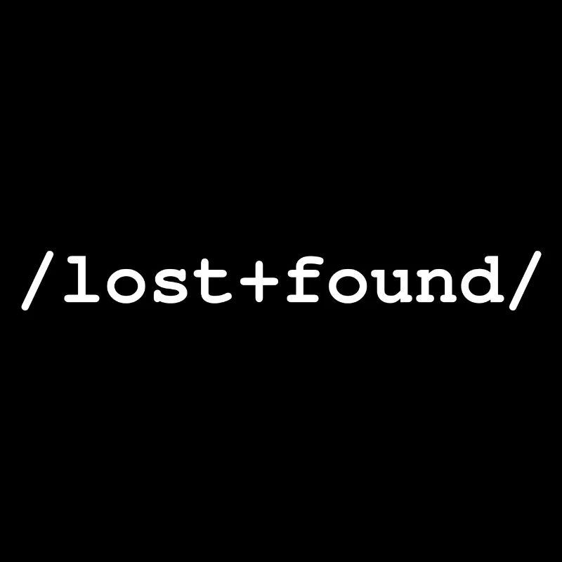 Lost+Found - Ordner /lost+found/
