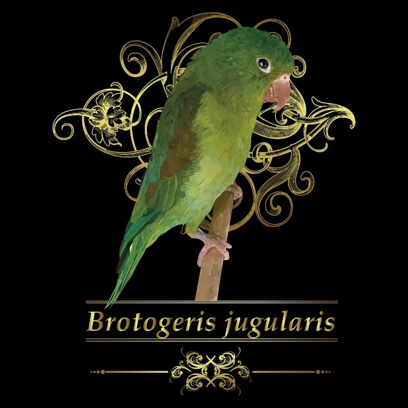 La Perruche bronzée