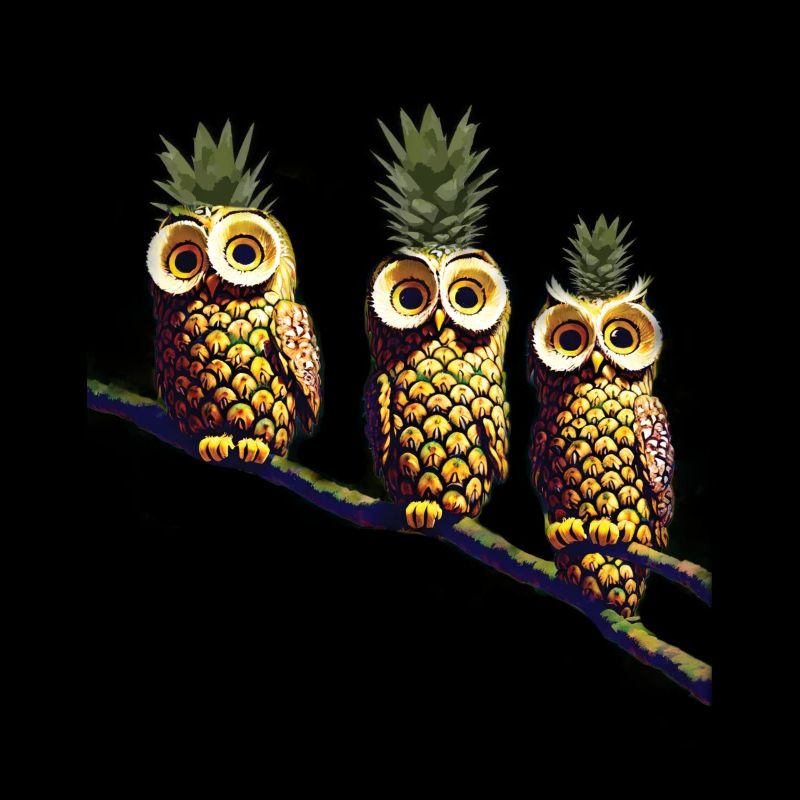 Ananas Eulen
