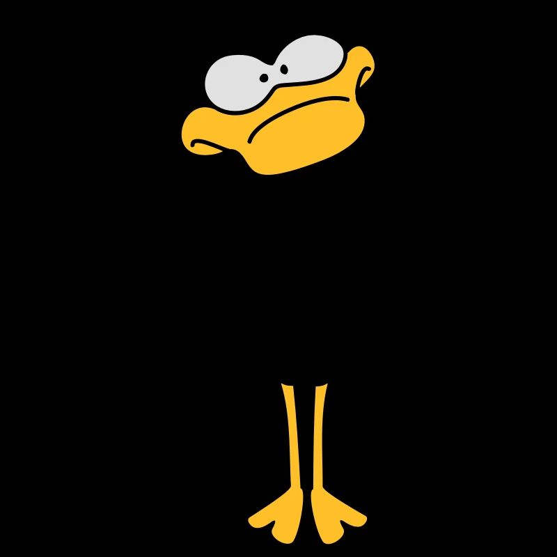 Funny Duck