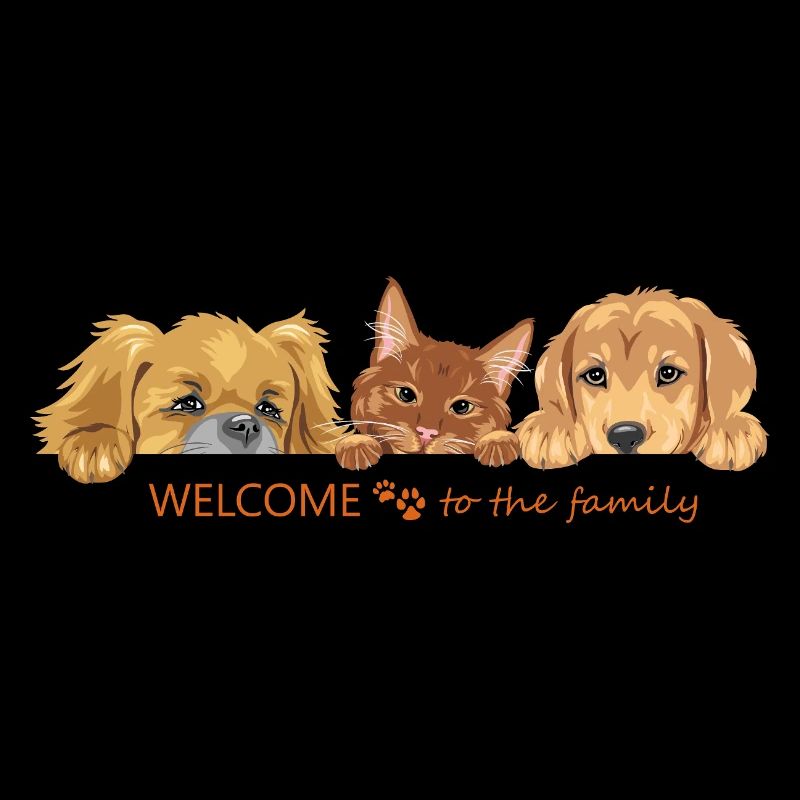 Coup d’œil mignon chat roux et deux chiens