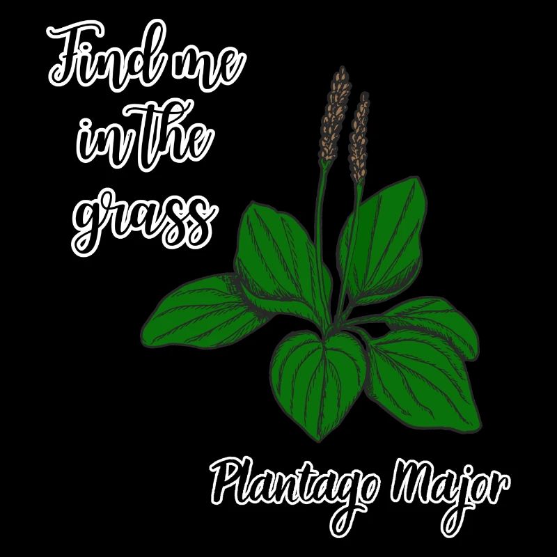 Trouvez-moi dans l’herbe... Gobie à larges feuilles