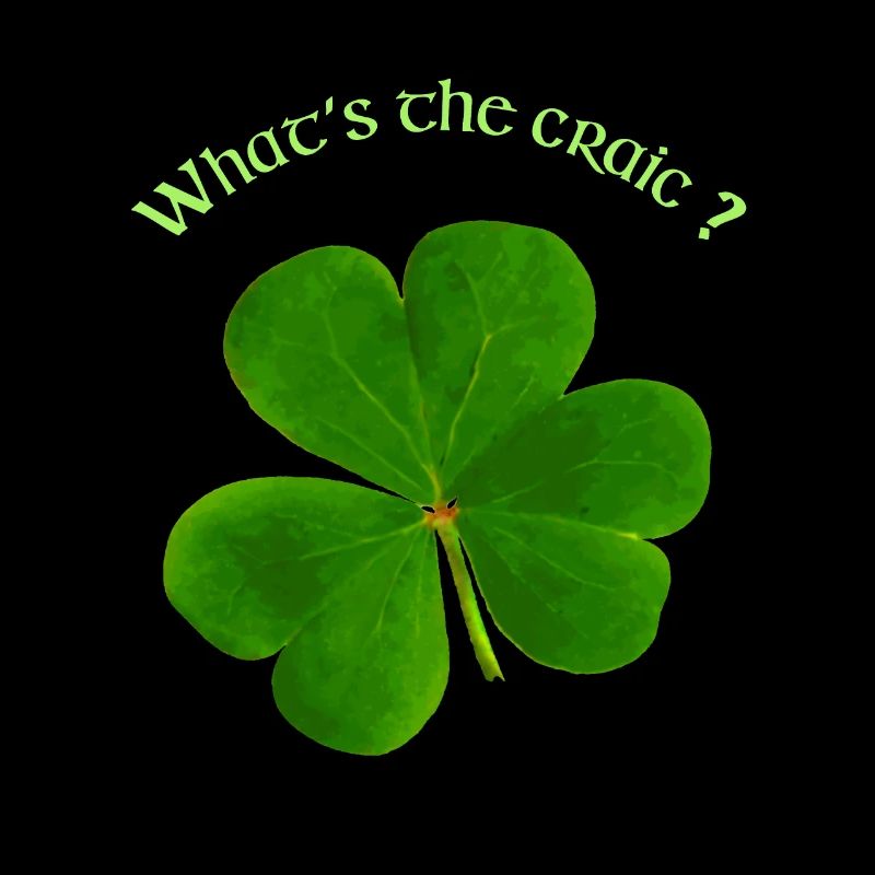 QU’EST-CE QUE LE CRAIC?