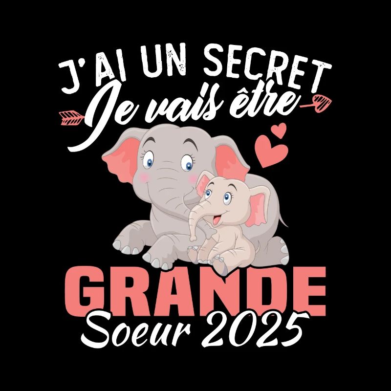 I Have a Secret I'm Going to Be Big Sister 2025
