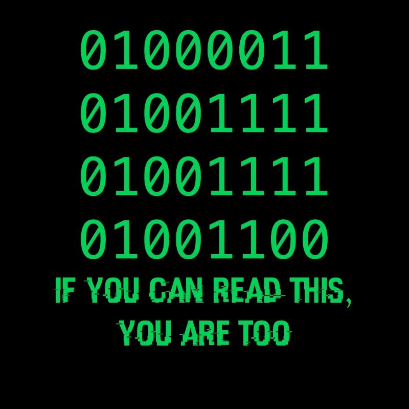 Geschenk für Computer-Binärcode-Entwickler