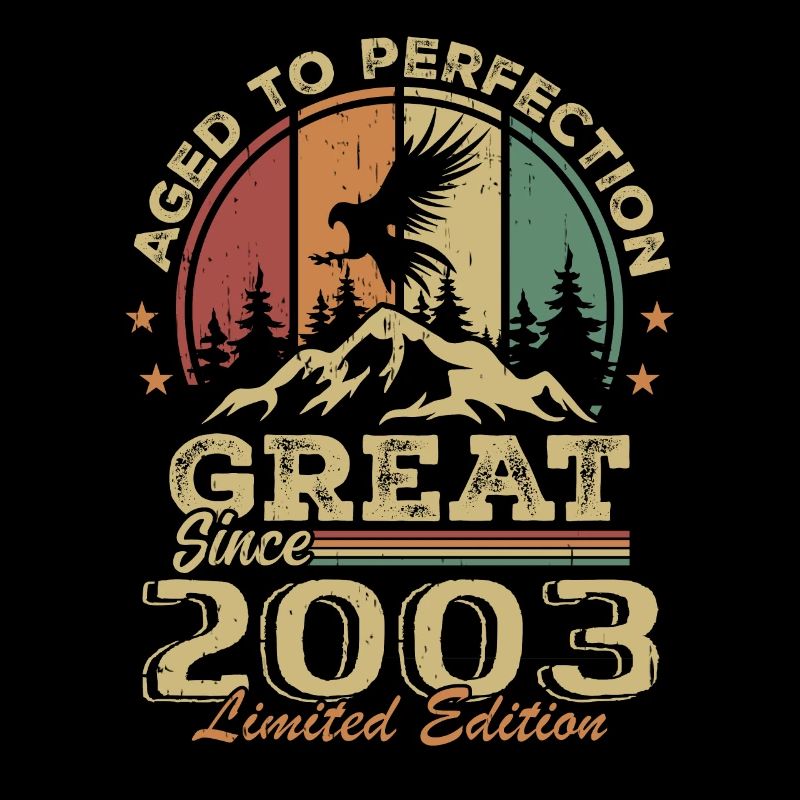 Vintage Geburtstag 2003 - Retro Geschenkidee 2003