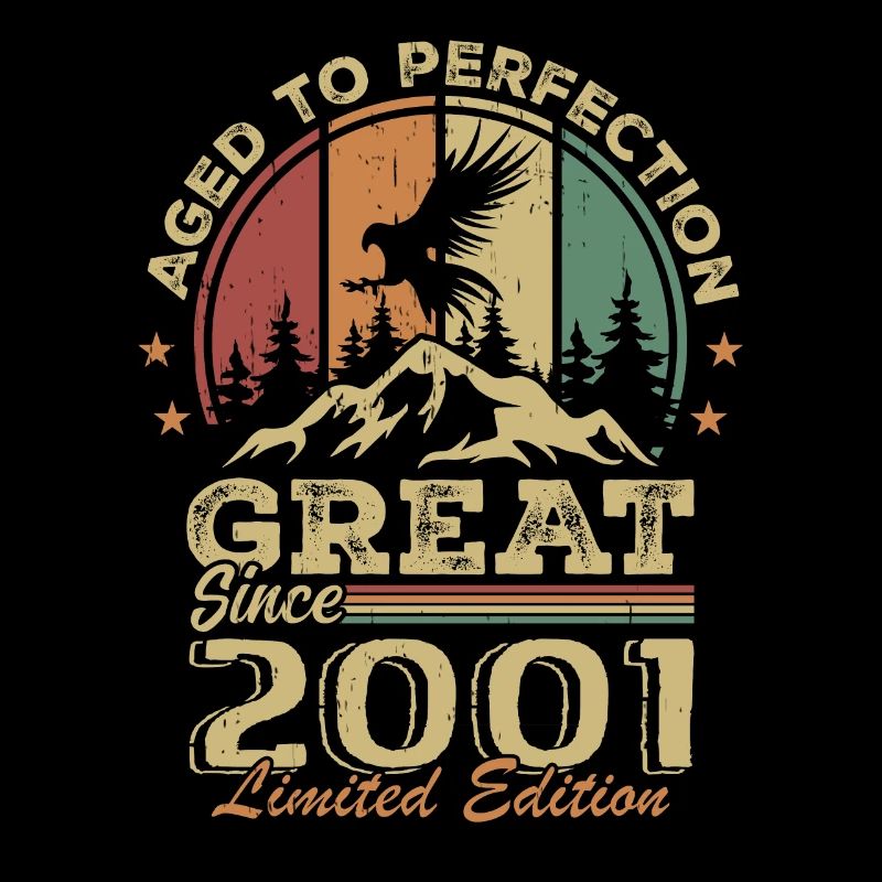 Vintage Geburtstag 2001 - Retro Geschenkidee 2001