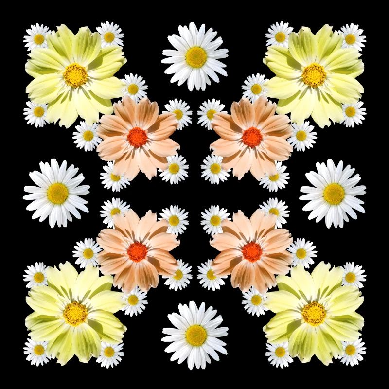 Kosmee Blumen mit Margeriten florales Blumenmuster