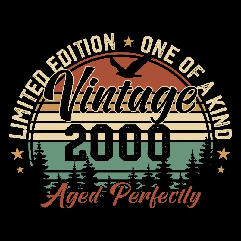 Vintage 2000 Rétro 2000 Cadeau D'anniversaire 2000