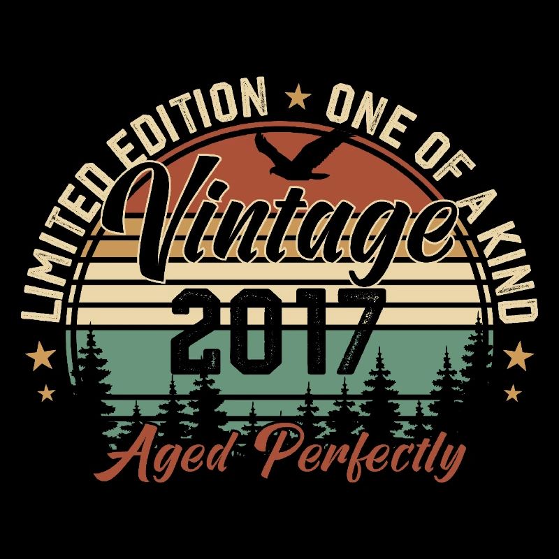 Vintage 2017 Rétro 2017 Cadeau D'anniversaire 2017