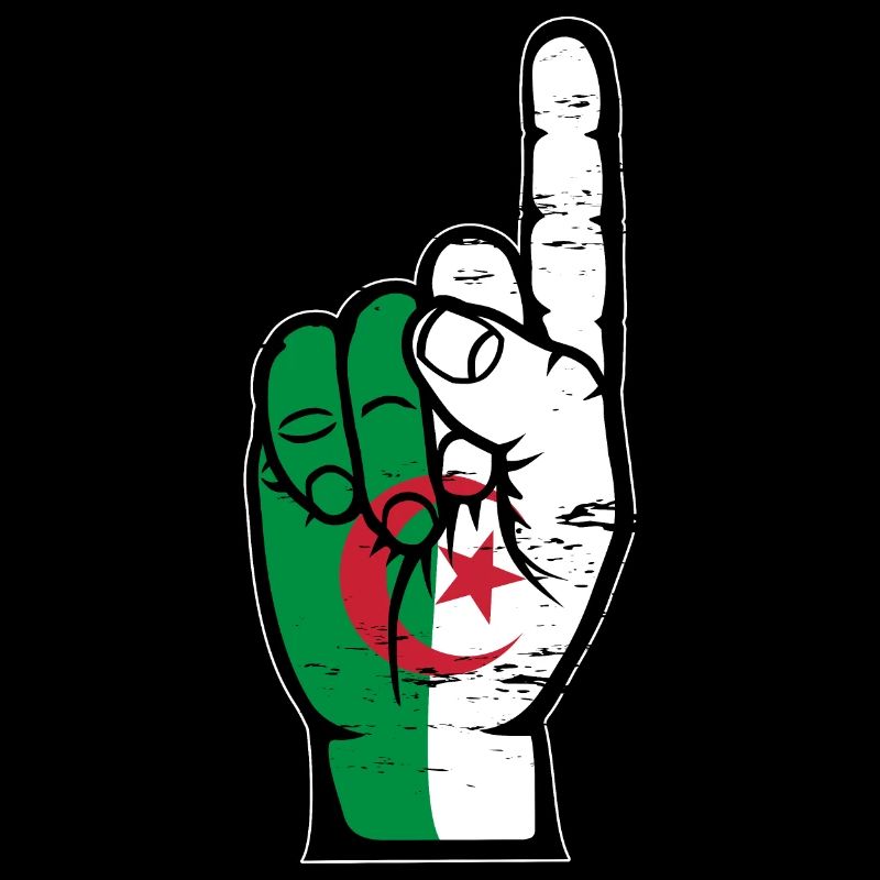 Algeria flag number 1 used