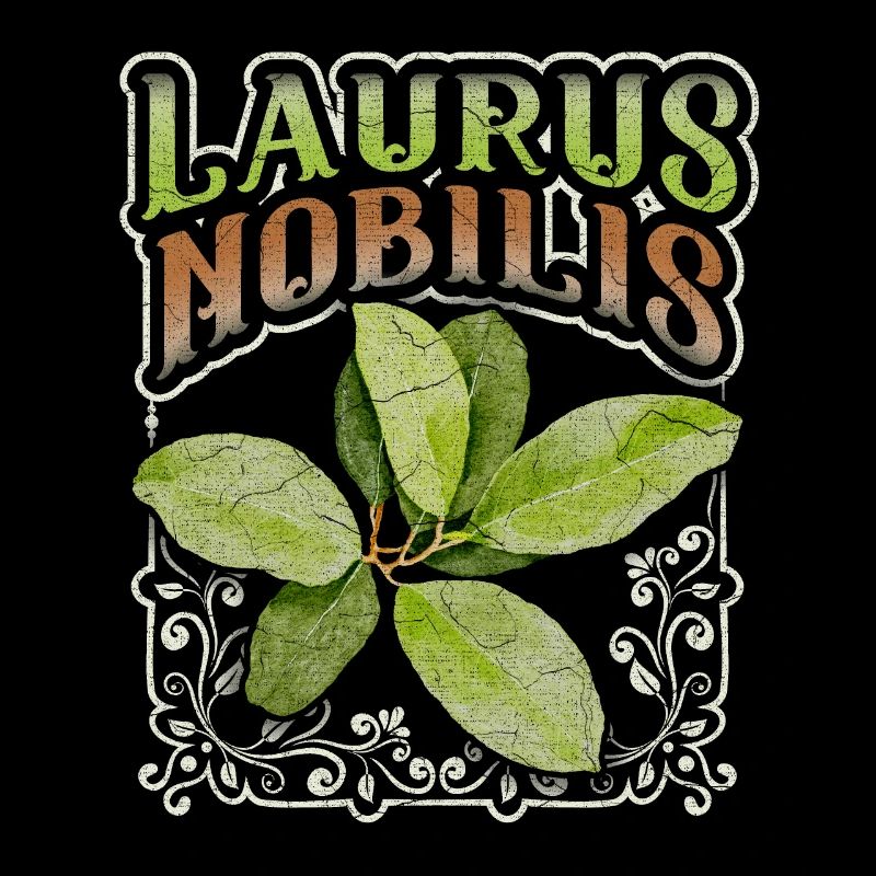Feuille de laurier, feuille de laurier, Laurus-Nobilis