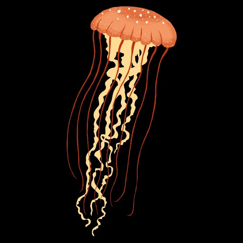 Jellyfish 2