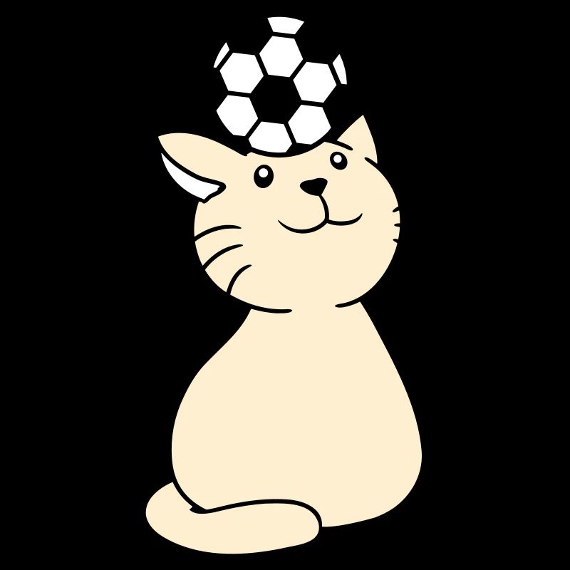 Ball Playing Cat Balancing Football Head Fun