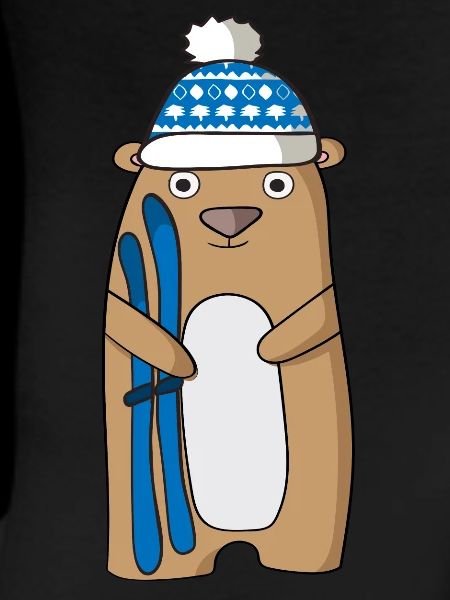 Ski