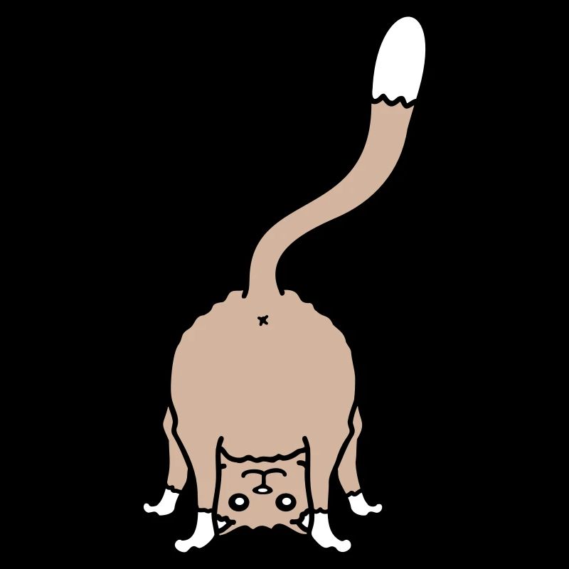 Funny Cat From Behind Shows Backside Ass Fun