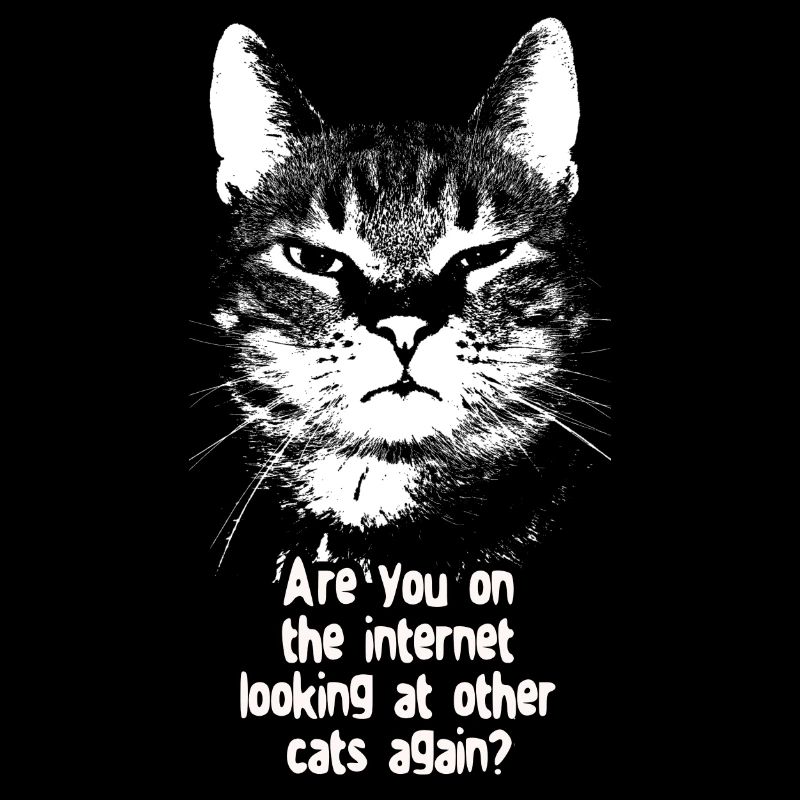 Internet Cat
