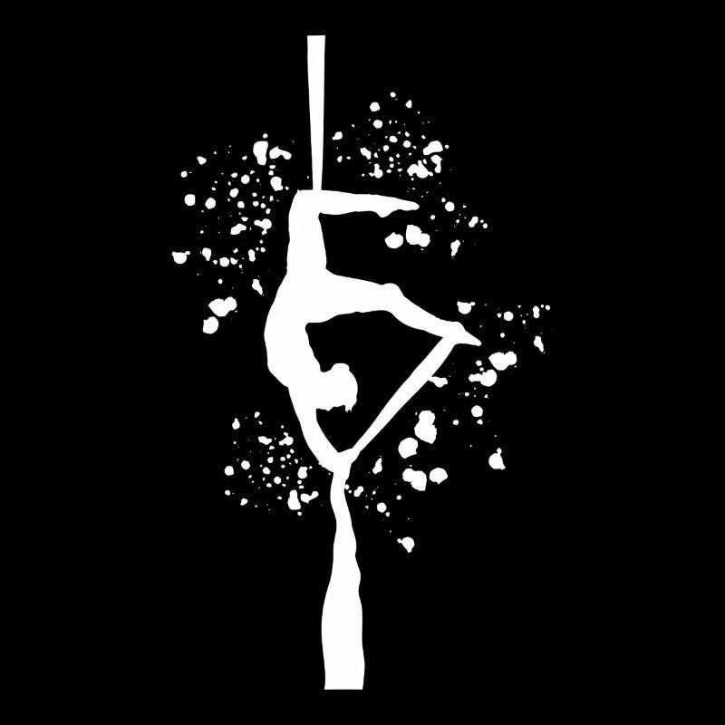 Vertical Cloth Aerial Acrobatics Aerial Silk