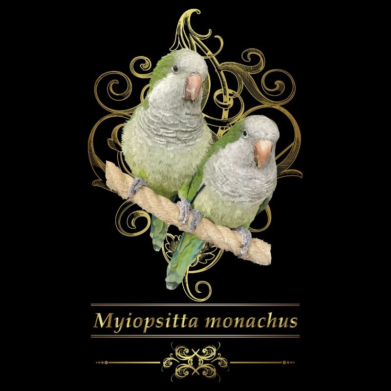 Argentine Parakeet