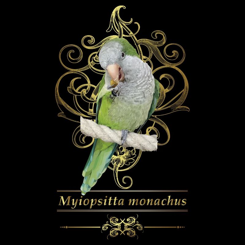 Argentine Parakeet