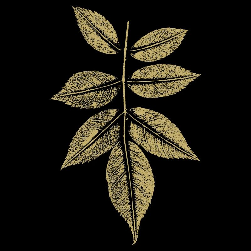 Feuille Rose / Tirage d’art