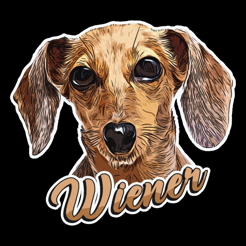 Dachshund "Viennese" Dachshund