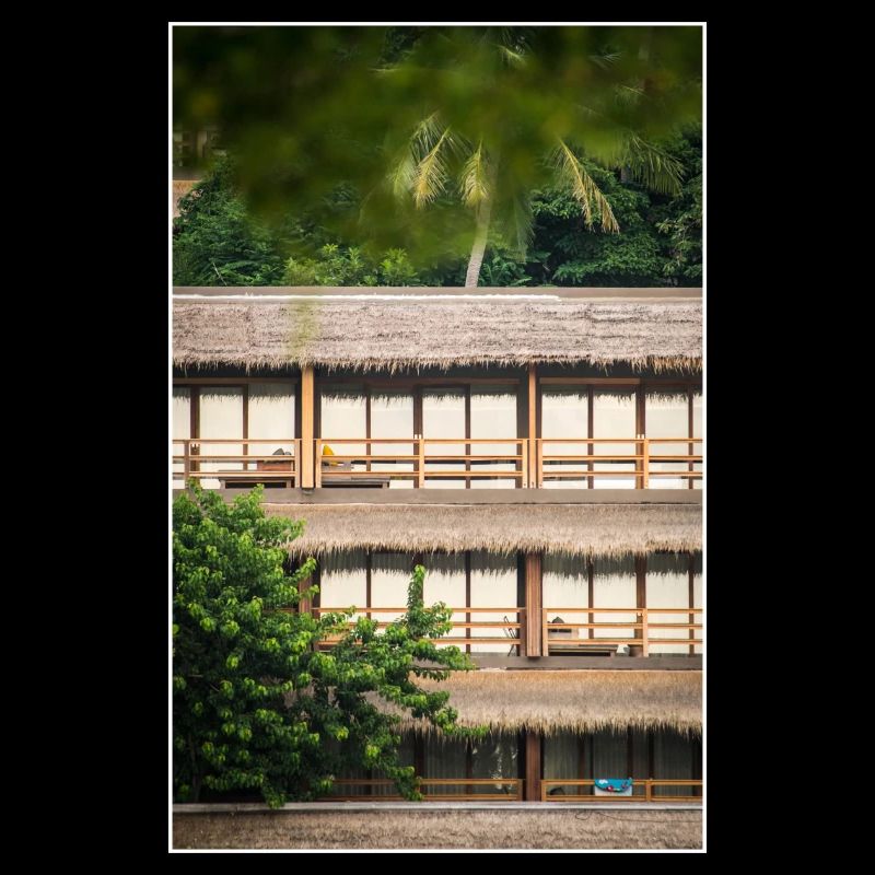 hotel under palm trees