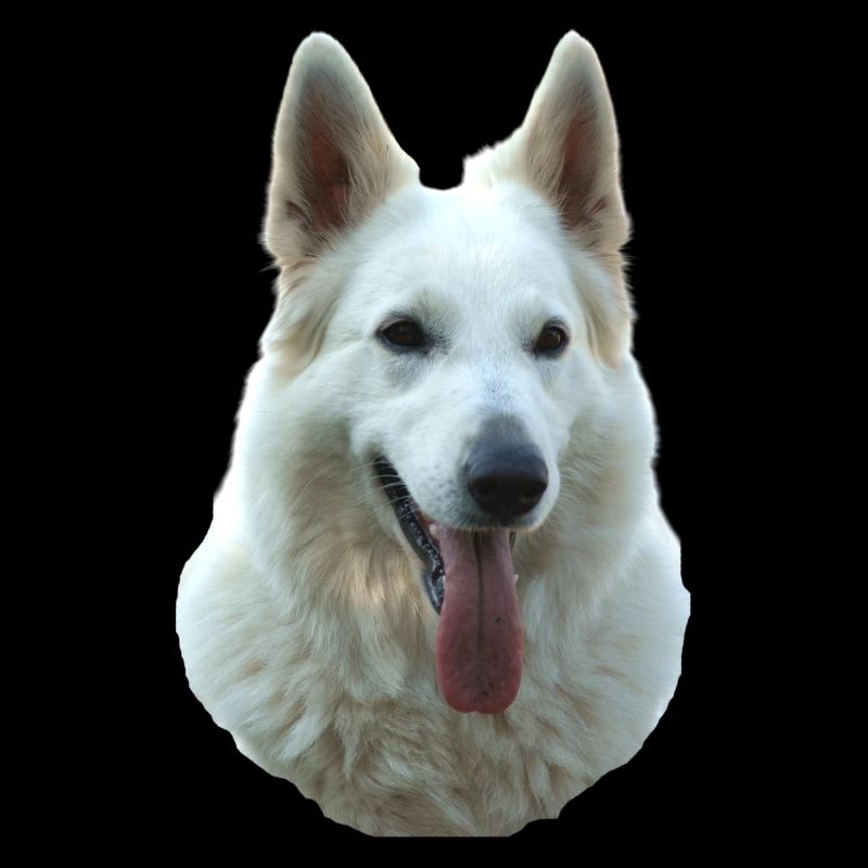 Portrait de dame blanche