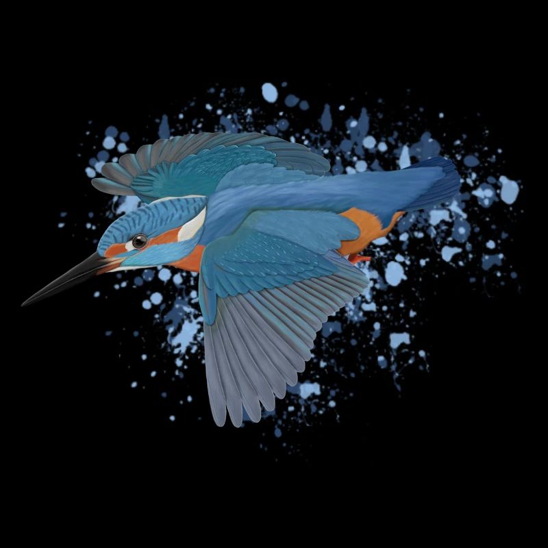 Eisvogel Gartenvogel Singvogel Biologe Vogel